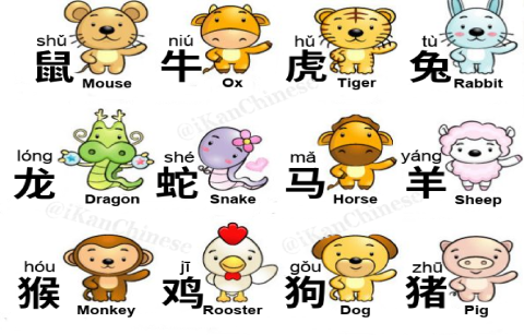 zodiac igns symbols animals