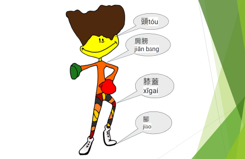 BODY PARTS IN MANDARIN