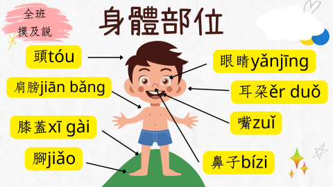 body parts