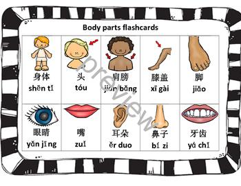 Body parts