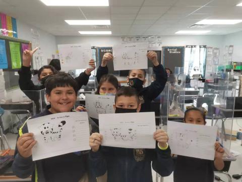 This year is the year of tiger. Students learnt to draw a tiger.
