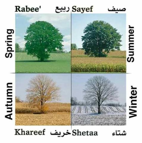 seasons and weather