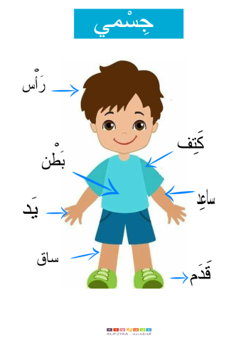 Body Parts in Arabic