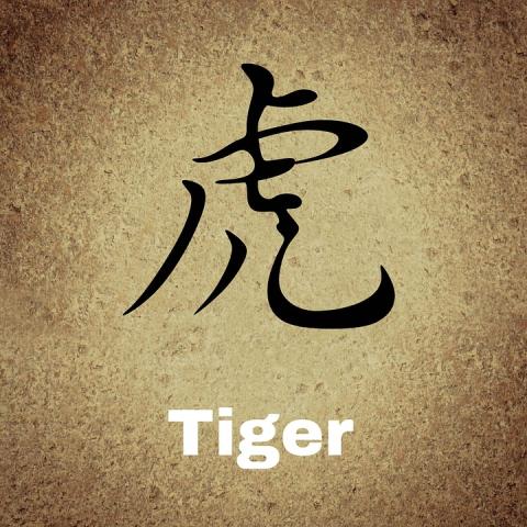 Chinese Novice Unit Plan