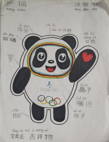 Students draw their own Bing Dwen Dwen, the mascot of the Beijing 2022 Winter Olympic Games, and label its body parts. show its body parts.
