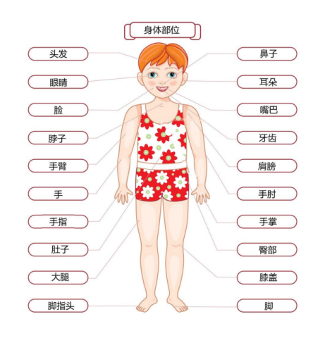 We learn how to speak body parts in Chinese.