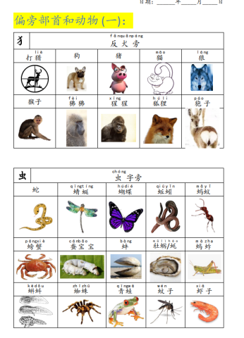 Basically, the radicals are related to the words meaning. Therefore, learning radicals is a good way to learn more Chinese.