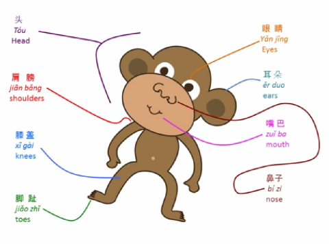 The Chinese Body Parts