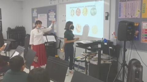 many students like to show their works