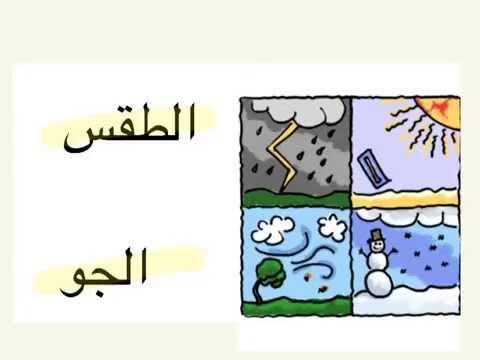 Weather