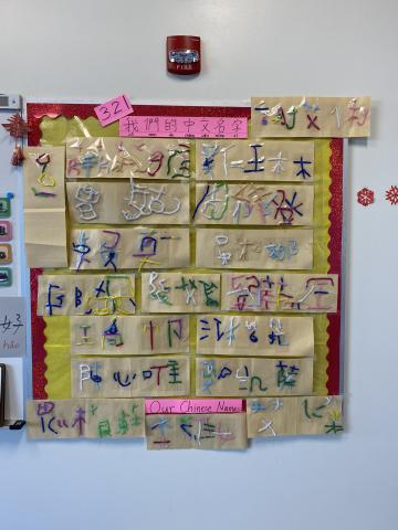 Students composed their using pipe cleaners craft