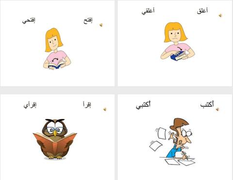 Arabic I Curricula