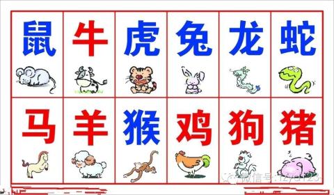12 Zodiac animals