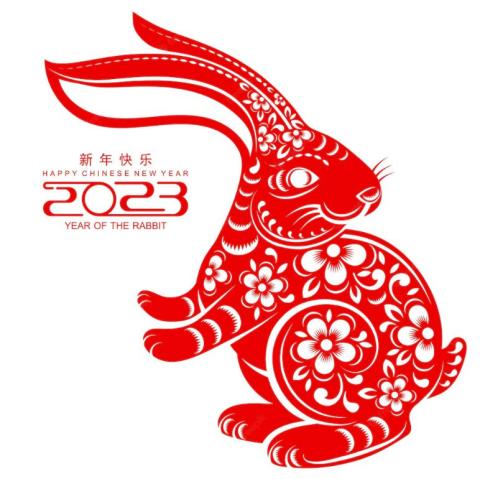 The Year of Rabbit - Chinese New Year Celebration