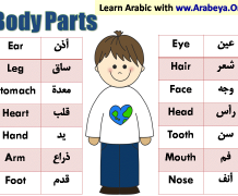 Body parts lesson plan