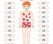 We learn how to speak body parts in Chinese.