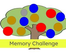 “Memory Challenge”