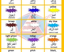 Colors