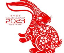 The Year of Rabbit - Chinese New Year Celebration