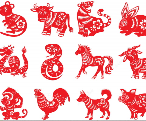 Learning Chinese Zodiac animal during the time of Chinese New Year