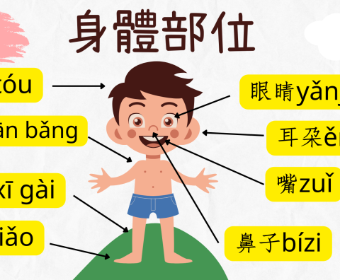 body parts