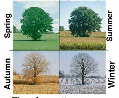 seasons and weather