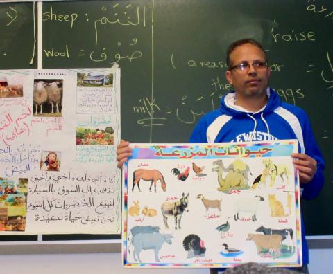 Farm Animals