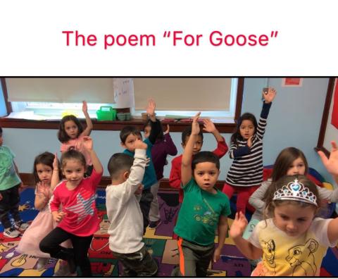 Poem "For Goose"