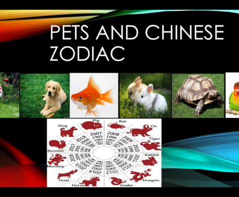 Pets and Chinese Zodiac animals