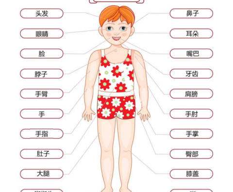 We learn how to speak body parts in Chinese.