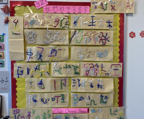 Students composed their using pipe cleaners craft